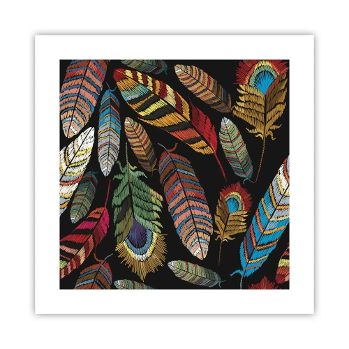 Affiche - Poster - Le carnaval des oiseaux - 40x40 cm