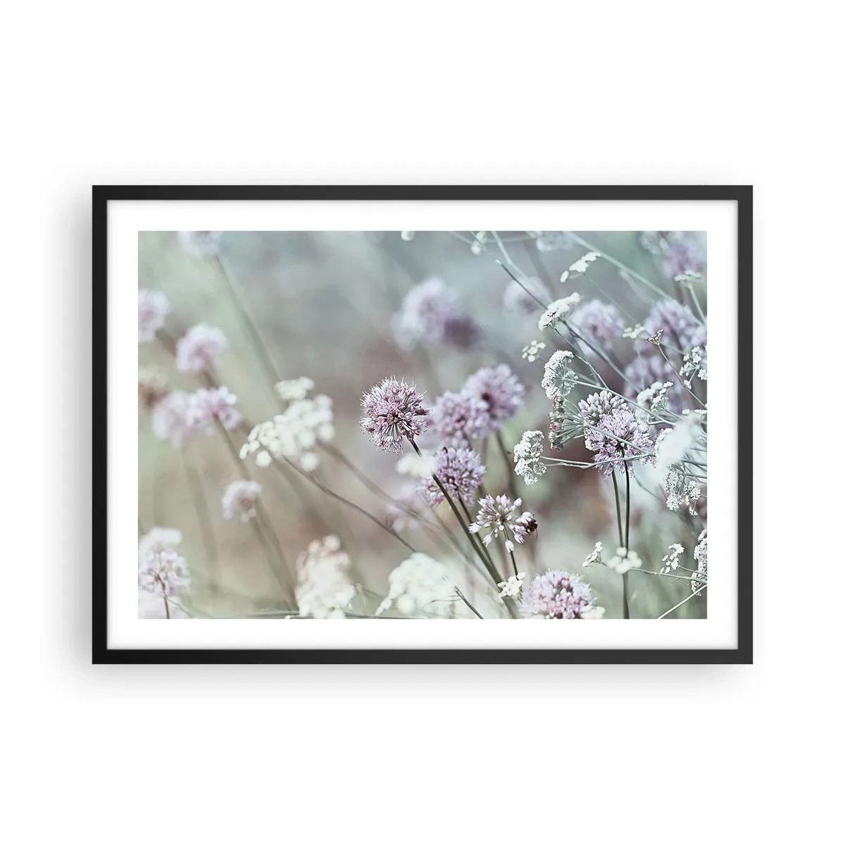 Affiche dans un cadre noir - Poster - Fleurs délicates aux tons pastel - 70x50cm - Herbes douces en filigrane - Décoration murale moderne pour le salon et la chambre ARTTOR