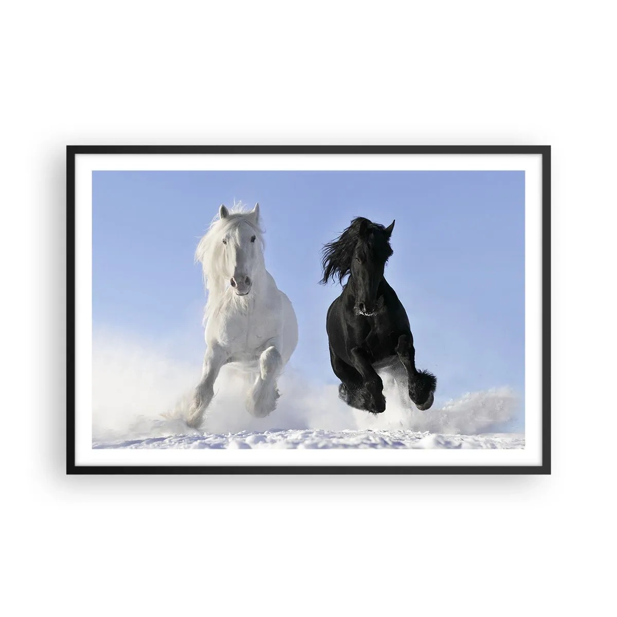 Affiche dans un cadre noir - Poster - Galop noir et blanc - 91x61 cm