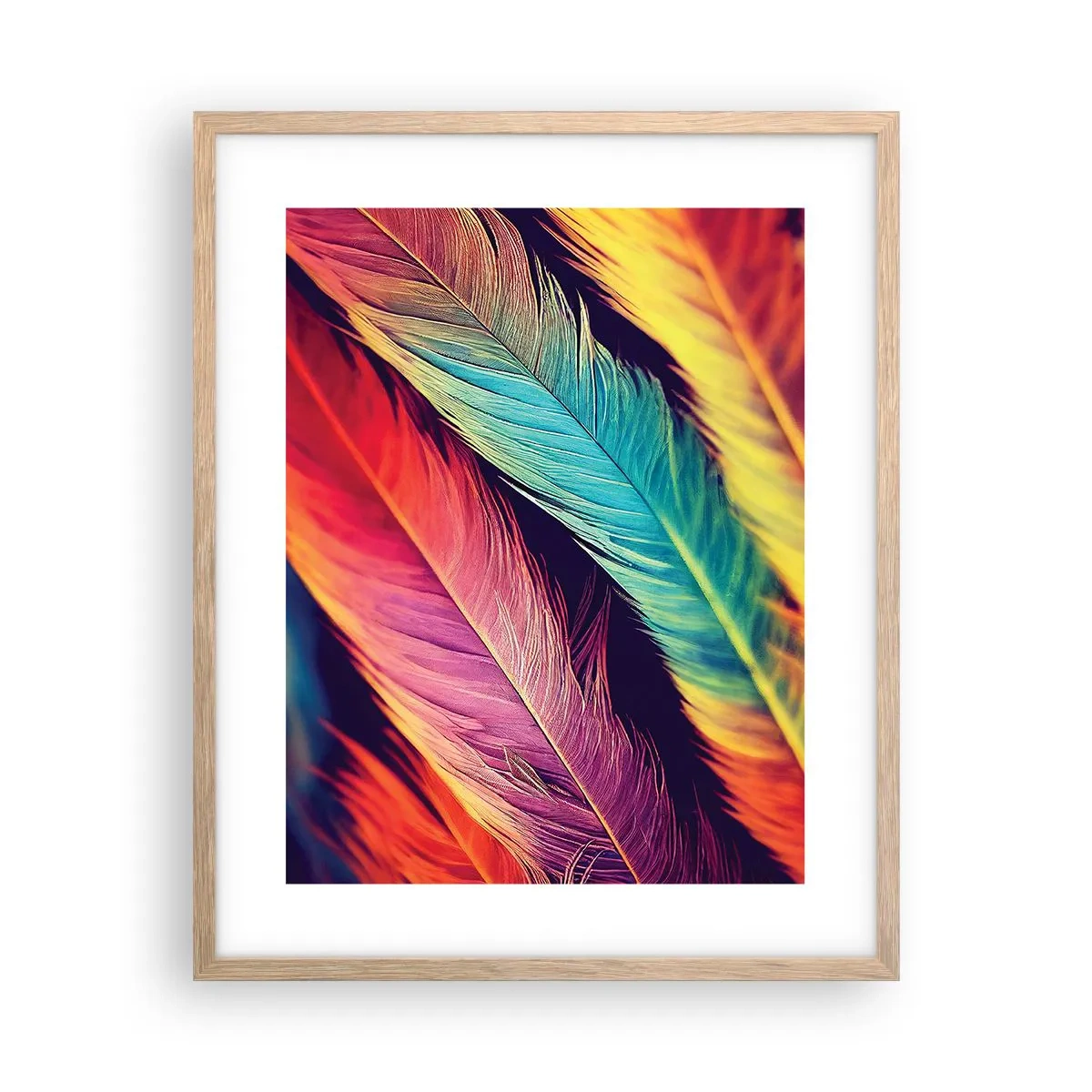Affiche dans un chêne clair - Poster - Arc-en-ciel de plumes - 40x50 cm