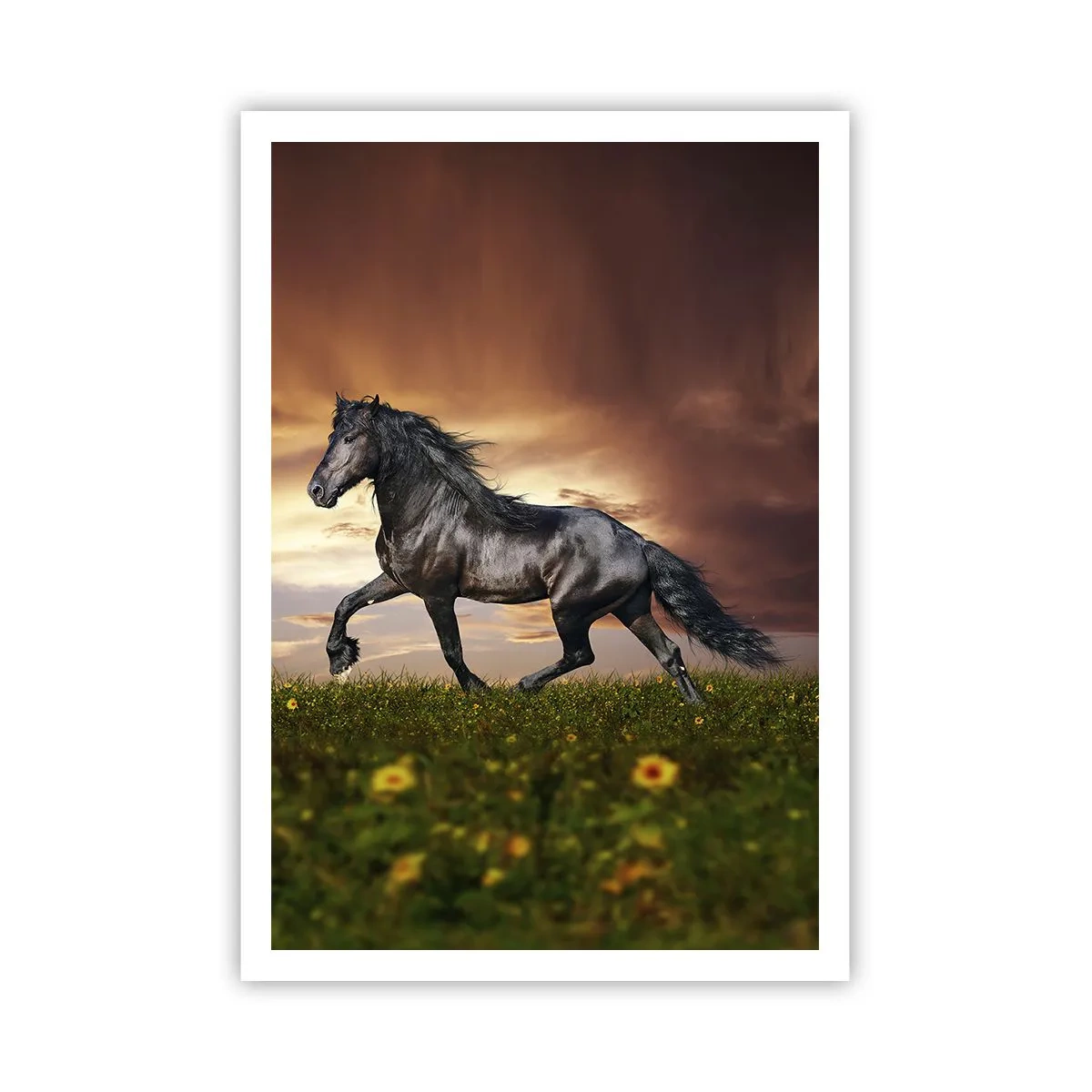 Affiche - Poster - Livres noirs - 70x100 cm