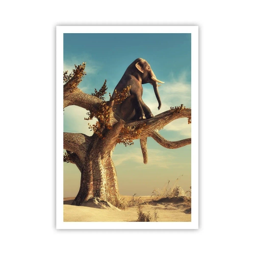 Affiche - Poster - Nouveau point de vue - 70x100 cm