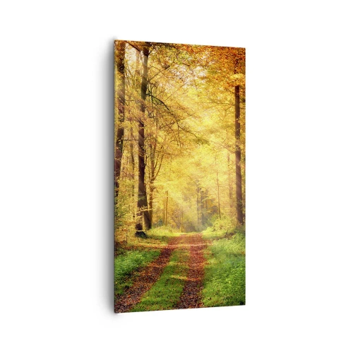 Impression sur toile - Image sur toile - Silence d'or en forêt - 65x120 cm