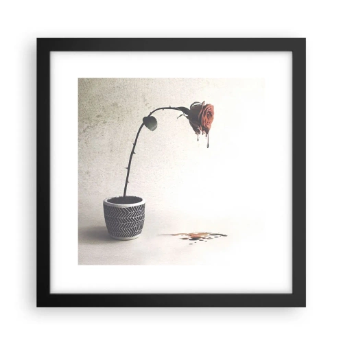 Affiche dans un cadre noir - Poster - Rosa dolorosa - 30x30 cm