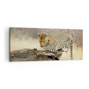Impression sur toile - Image sur toile - Je suis ma propre route - 100x40 cm