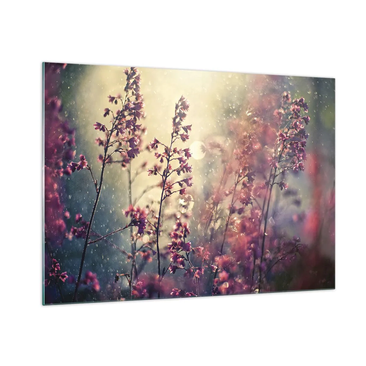 Impression sur verre - Image sur verre - Fleurs au soleil sous la douce pluie - 100x70cm - Jardin secret - Décoration murale moderne pour le salon et la chambre ARTTOR