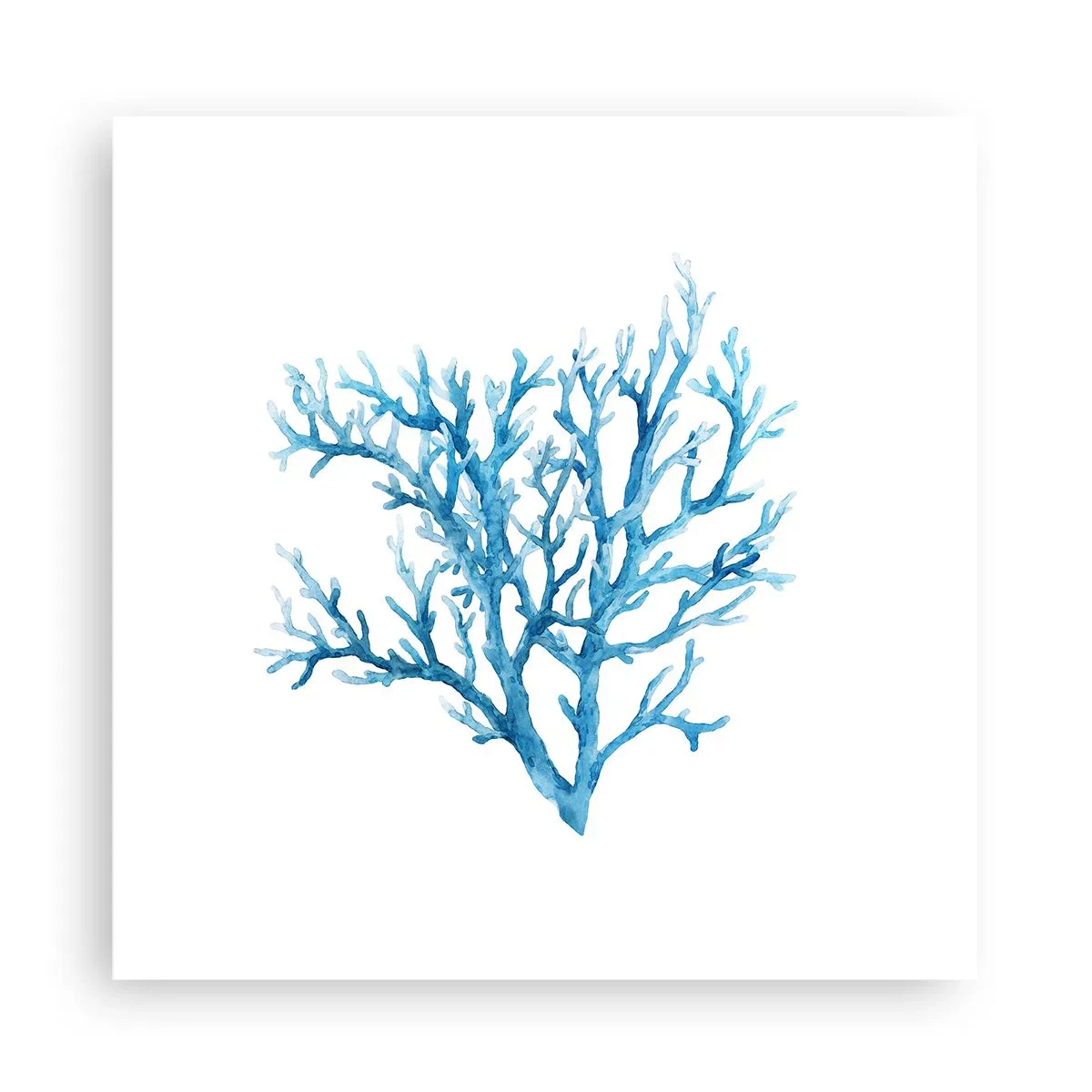 Affiche - Poster - Filigrane nautique - 30x30 cm