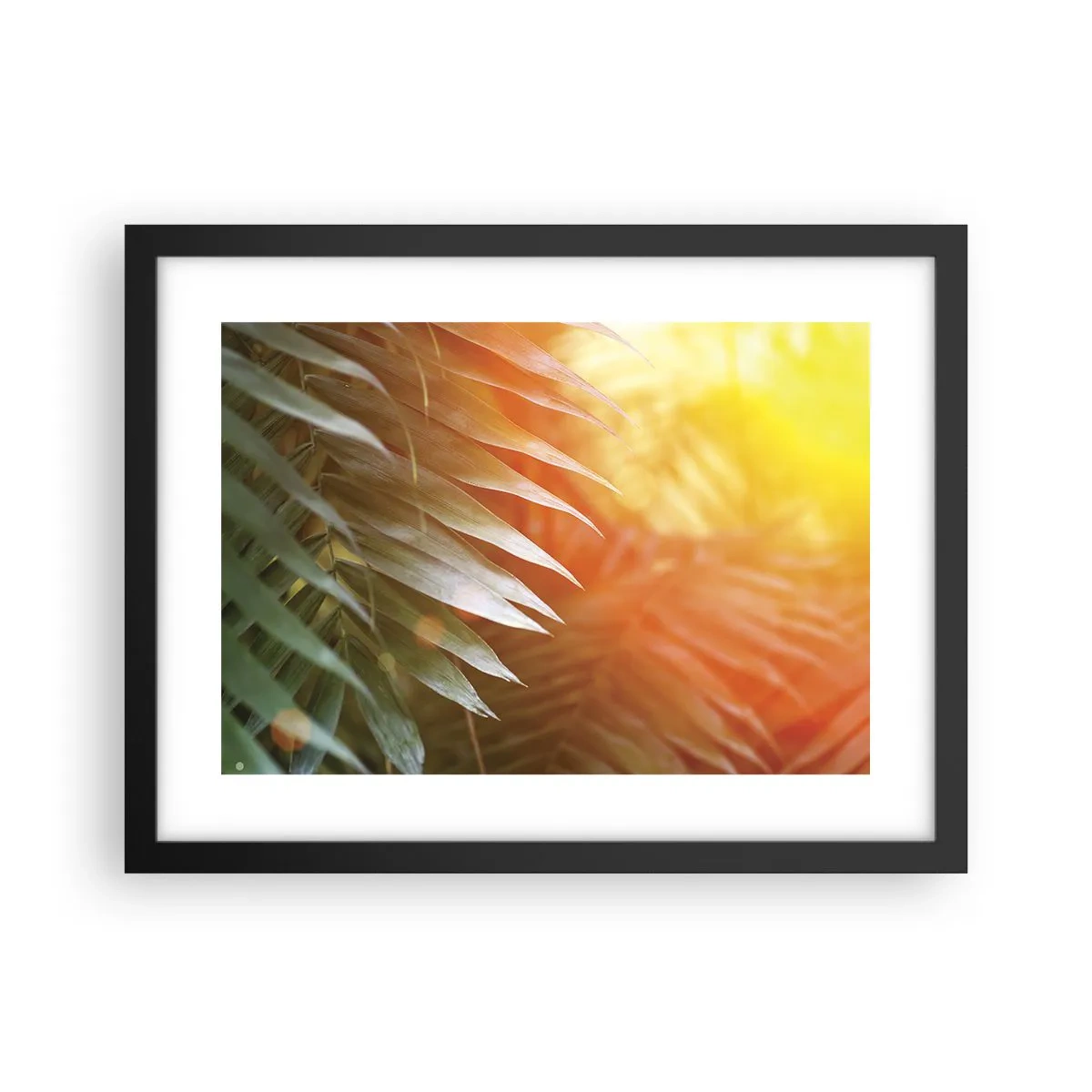 Affiche dans un cadre noir - Poster - Matinée dans la jungle - 40x30 cm