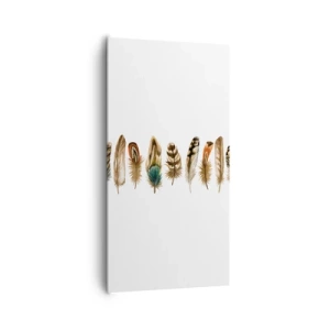 Impression sur toile - Image sur toile - Variation à plumes - 65x120 cm