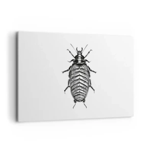 Impression sur toile - Image sur toile - Graphique d'un insecte noir et blanc sur fond blanc - 120x80cm - Quel spécimen! - Décoration murale moderne pour le salon et la chambre ARTTOR