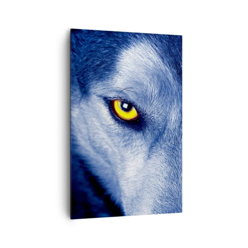 Impression sur toile - Image sur toile - Gros plan du regard intense d'un loup sur un fond sombre - 80x120cm - Regars hypnotique - Décoration murale moderne pour le salon et la chambre ARTTOR