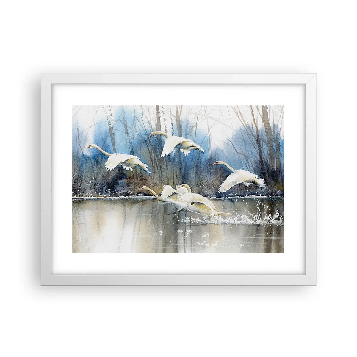 Affiche dans un cadre blanc - Poster - Comme dans un conte de fées sur les cygnes sauvages - 40x30 cm