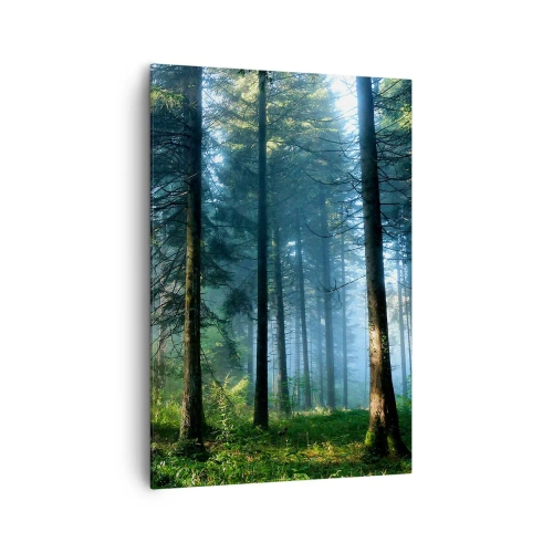 Impression sur toile - Image sur toile - Un chemin forestier illuminé par les rayons du soleil du matin - 70x100cm - Rayonnant le matin - Décoration murale moderne pour le salon et la chambre ARTTOR