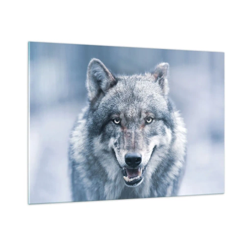 Impression sur verre - Image sur verre - Un loup au regard perçant sur fond de forêt enneigée - 100x70cm - Relèverez-vous le défi ? - Décoration murale moderne pour le salon et la chambre ARTTOR