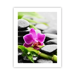 Affiche - Poster - Dans un équilibre de calme - 40x50 cm