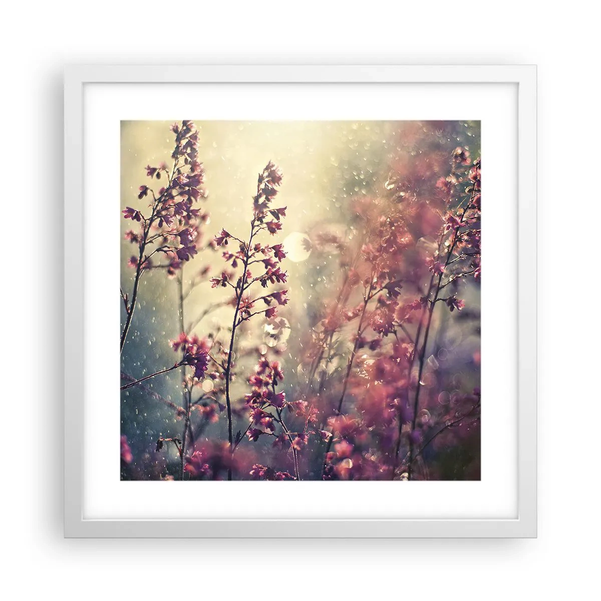 Affiche dans un cadre blanc - Poster - Jardin secret - 40x40 cm