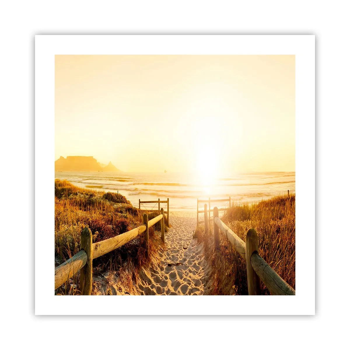 Affiche - Poster - A travers la dune, vers le soleil - 50x50 cm
