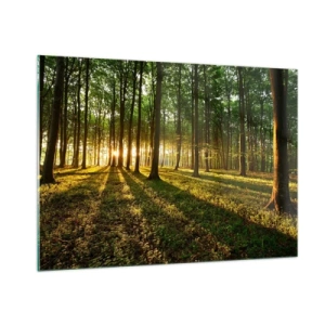 Impression sur verre - Image sur verre - Une clairière forestière illuminée par les rayons du soleil levant - 100x70cm - Toutes les photographies de printemps - Décoration murale moderne pour le salon et la chambre ARTTOR