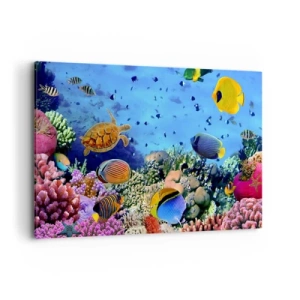 Impression sur toile - Image sur toile - Récif corallien avec des poissons colorés et une tortue de mer - 120x80cm - Et que sait-on de la vie… - Décoration murale moderne pour le salon et la chambre ARTTOR