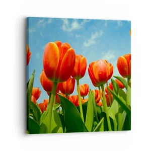 Impression sur toile - Image sur toile - A part le ciel bleu, ils n'ont besoin de rien dans leur vie - 30x30 cm