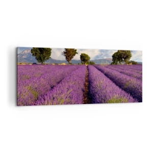 Impression sur toile - Image sur toile - Champs de lavande - 100x40 cm