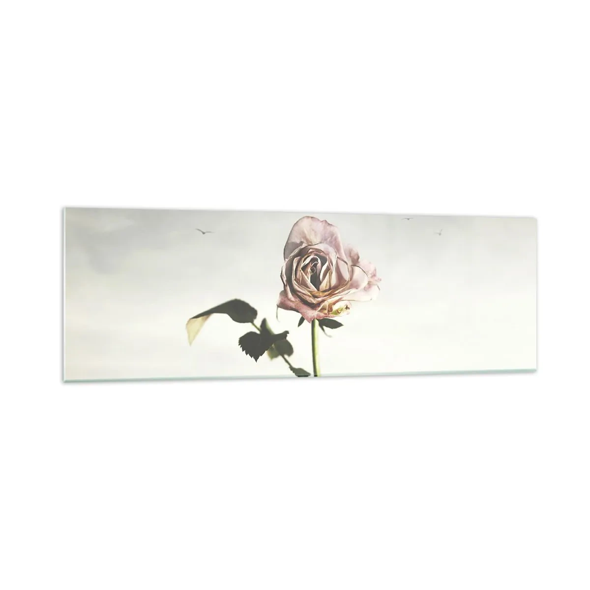 Impression sur verre - Image sur verre - Une rose délicate contre un ciel lumineux avec des oiseaux en vol - 160x50cm - Bonjour de printemps - Décoration murale moderne pour le salon et la chambre ARTTOR