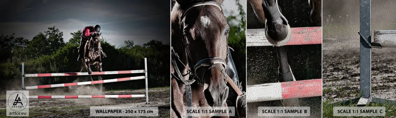 Échantillon de Papier Peint Premium Sand - Ensemble pour la victoire - Animaux, Cheval, sport - 100x30 cm