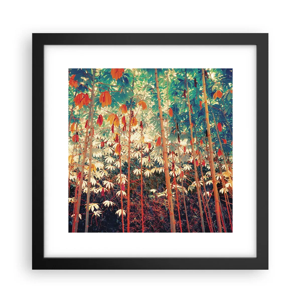Affiche dans un cadre noir - Poster - La vie secrète des feuilles - 30x30 cm