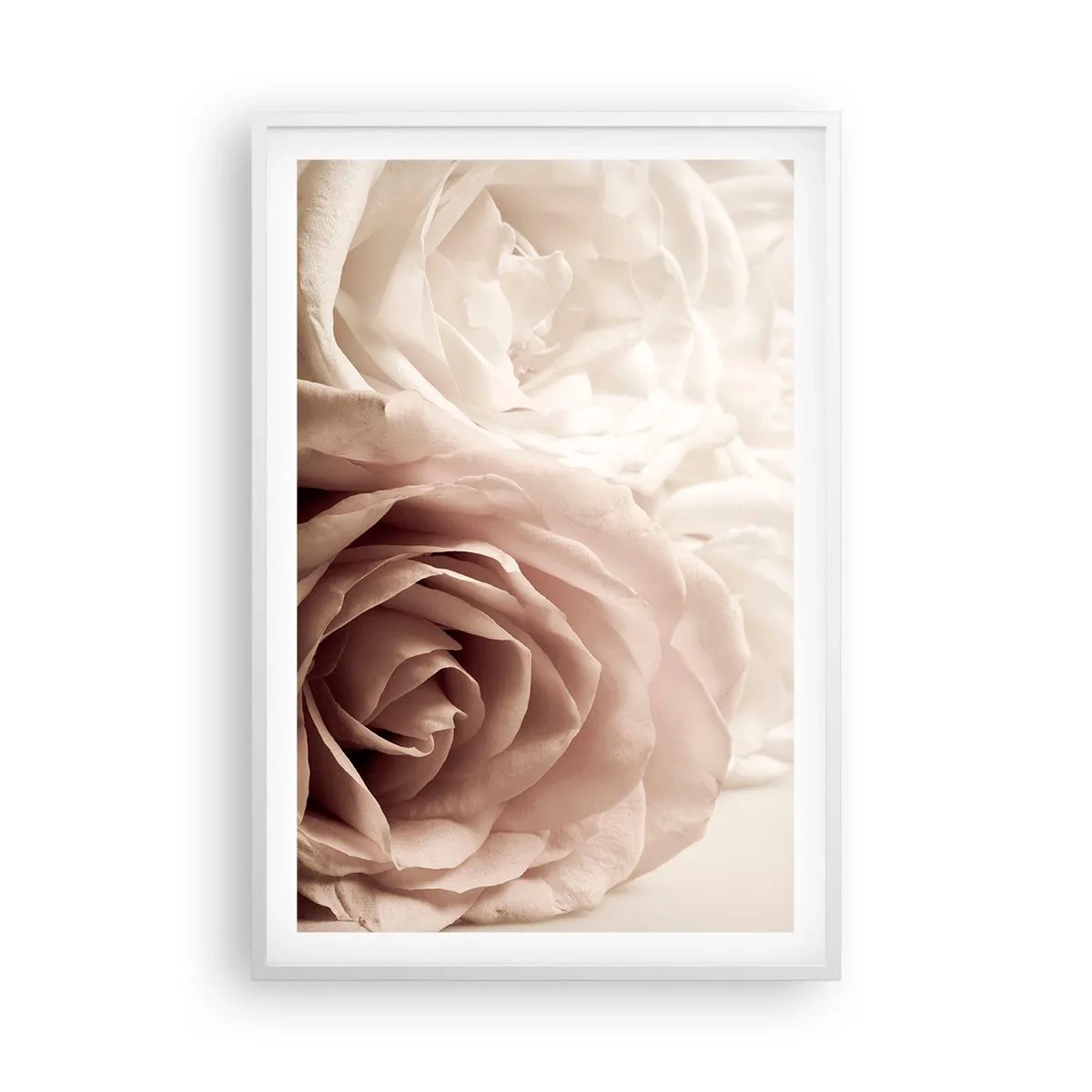 Affiche dans un cadre blanc - Poster - Au coeur d'ue la rose - 61x91 cm