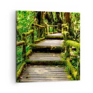 Impression sur toile - Image sur toile - Un couloir de verdure - 60x60 cm