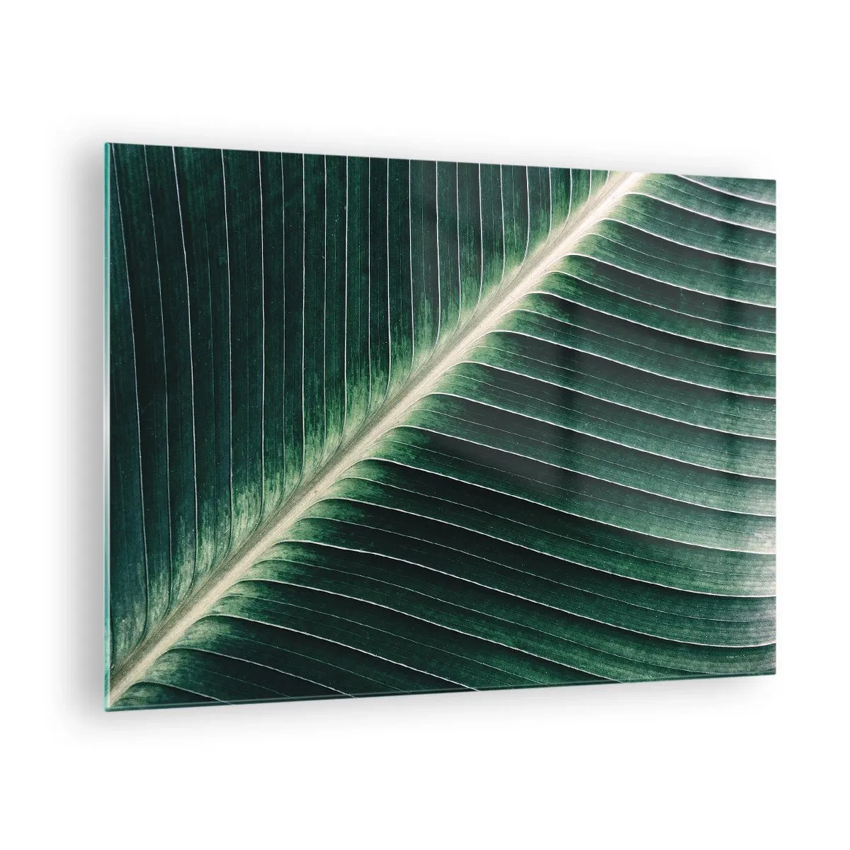 Impression sur verre - Image sur verre - Détail d'une feuille de bananier dans une nuance de vert intense - 70x50cm - Le rythme de la nature - Décoration murale moderne pour le salon et la chambre ARTTOR
