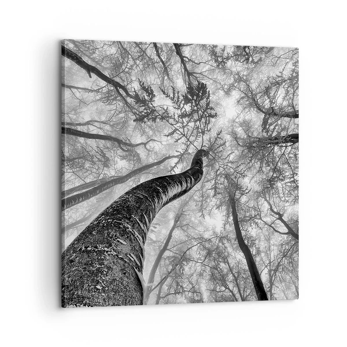 Impression sur toile - Image sur toile - Course vers la lumière - 60x60 cm