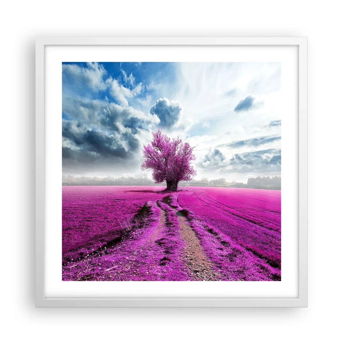 Affiche dans un cadre blanc - Poster - Lande - nature sauvage - 50x50 cm
