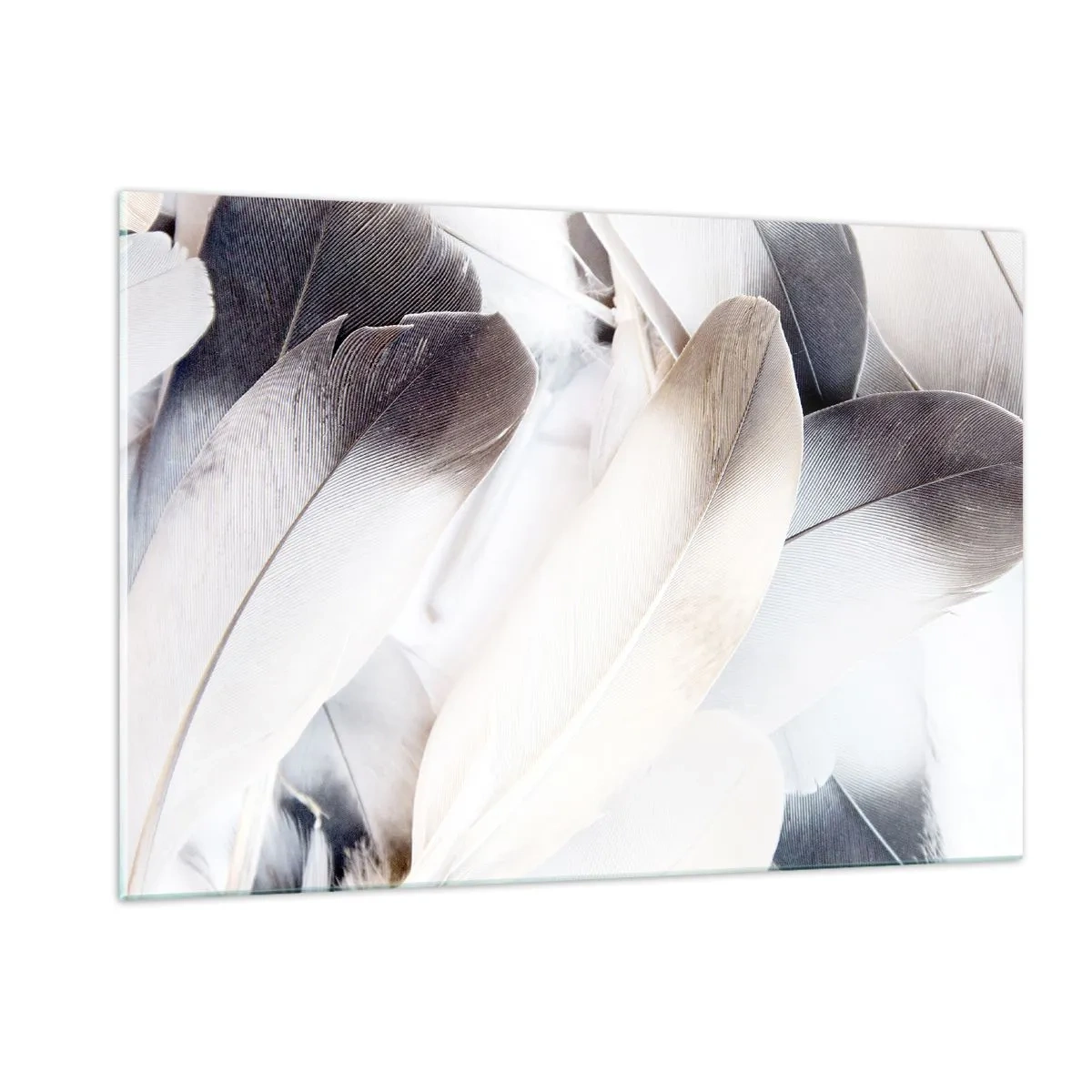 Impression sur verre - Image sur verre - Plumes délicates et légères dans des tons de blanc et de gris - 120x80cm - Presque angélique - Décoration murale moderne pour le salon et la chambre ARTTOR