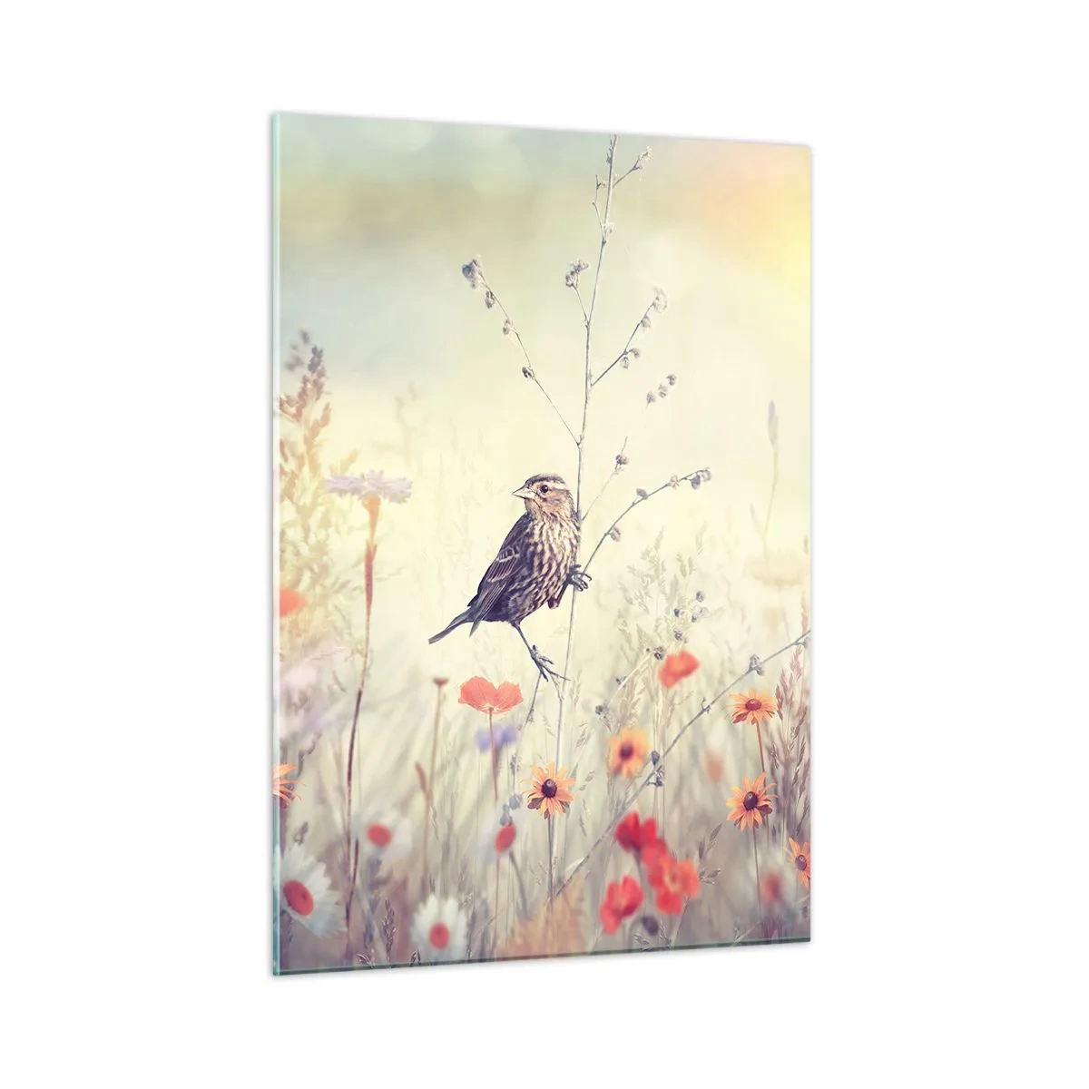 Impression sur verre - Image sur verre - Un oiseau dans une prairie fleurie au soleil - 50x70cm - Portrait d'oiseau sur pré en fond - Décoration murale moderne pour le salon et la chambre ARTTOR