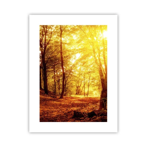 Affiche - Poster - Vers la clairière dorée - 30x40 cm