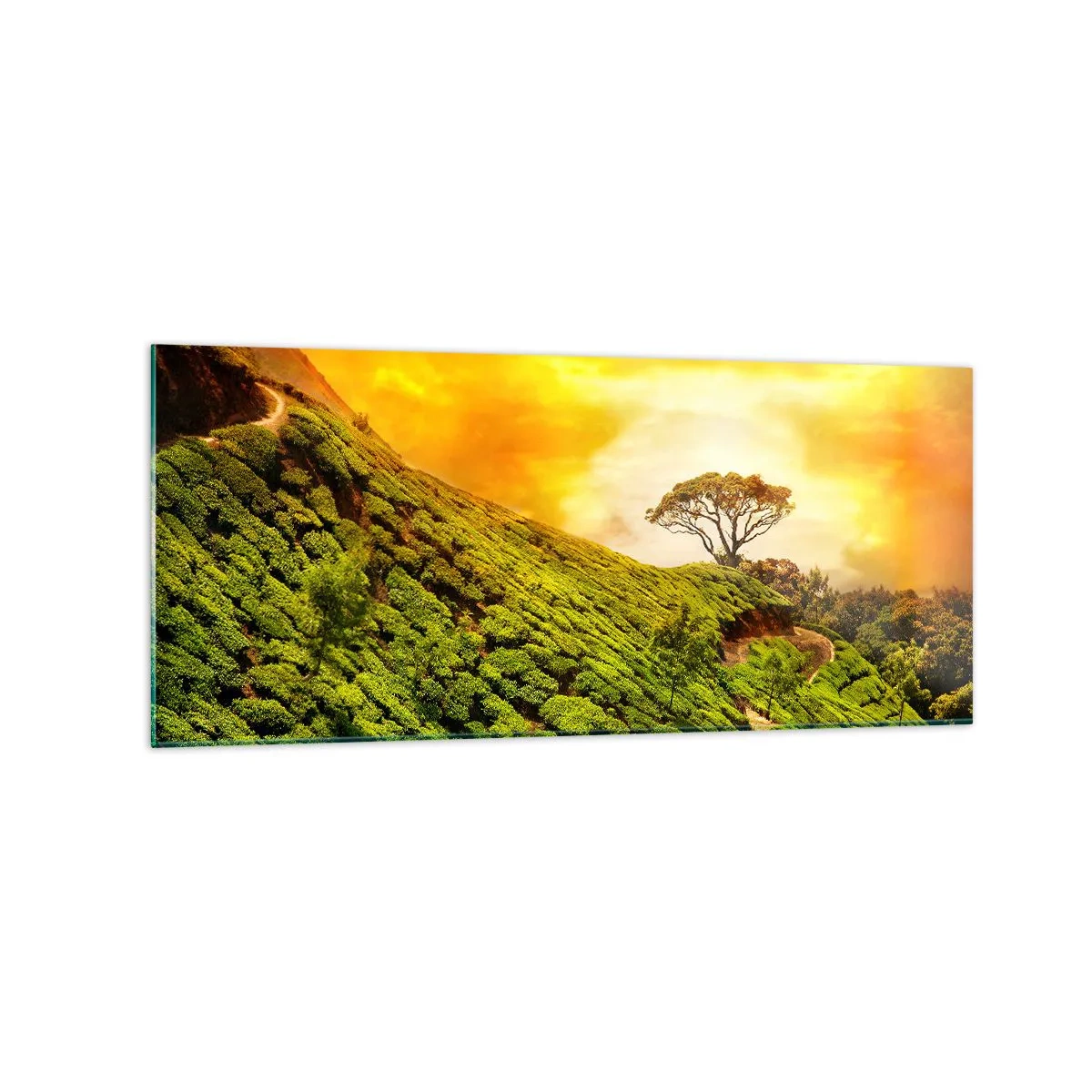 Impression sur verre - Image sur verre - Collines verdoyantes de plantations de thé au coucher du soleil - 120x50cm - Un chemin sinueux, une pente verte - Décoration murale moderne pour le salon et la chambre ARTTOR