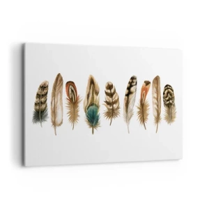 Impression sur toile - Image sur toile - Motif décoratif d'une collection de plumes diverses - 120x80cm - Variation à plumes - Décoration murale moderne pour le salon et la chambre ARTTOR