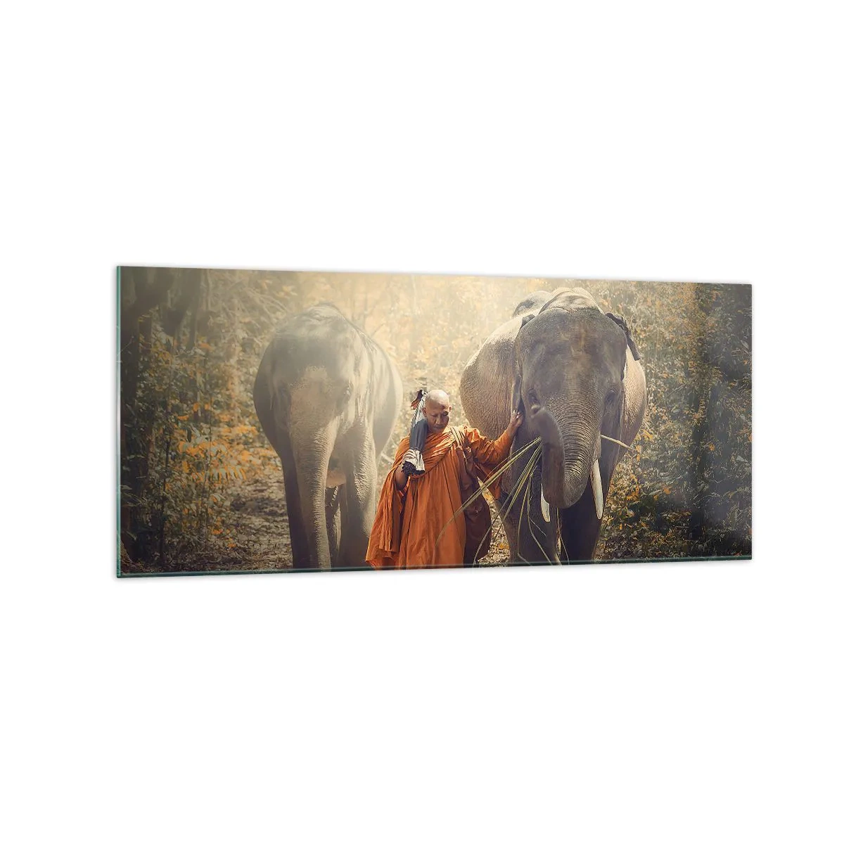 Impression sur verre - Image sur verre - Un moine en robe orange conduit un éléphant dans la forêt. - 120x50cm - Compréhension totale - Décoration murale moderne pour le salon et la chambre ARTTOR