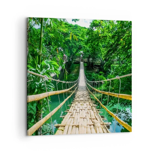 Impression sur toile - Image sur toile - Pont de singe en pleine nature - 60x60 cm