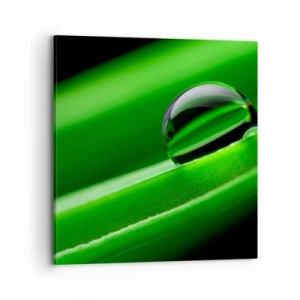 Impression sur toile - Image sur toile - La vie de près - 70x70 cm