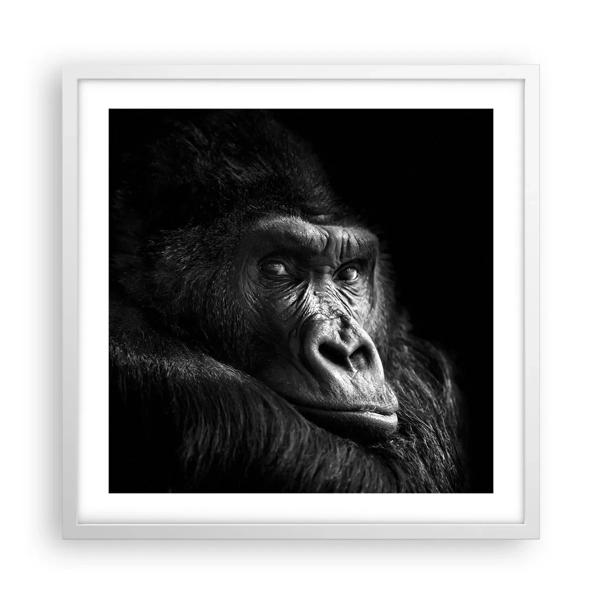 Affiche dans un cadre blanc - Poster - Et qu'est-ce que tu regardes? - 50x50 cm