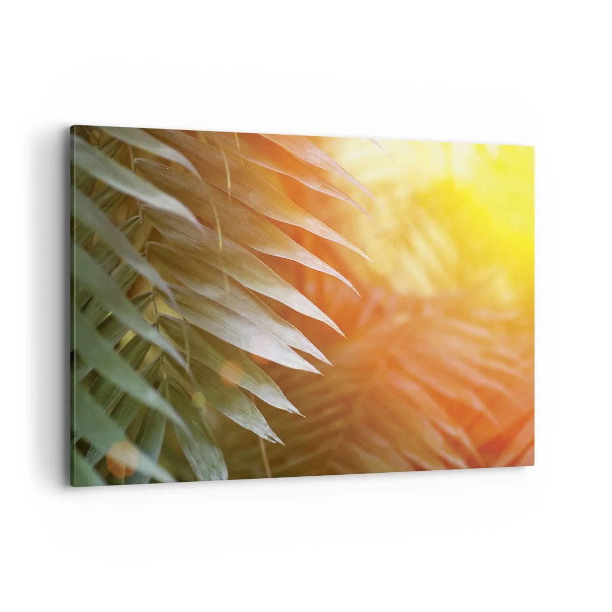 Impression sur toile - Image sur toile - Feuilles de palmier dans les rayons du soleil couchant - 120x80cm - Matinée dans la jungle - Décoration murale moderne pour le salon et la chambre ARTTOR