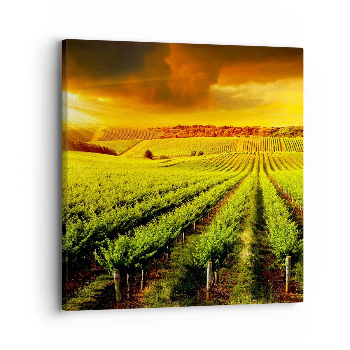 Impression sur toile - Image sur toile - Sous le soleil australien - 30x30 cm