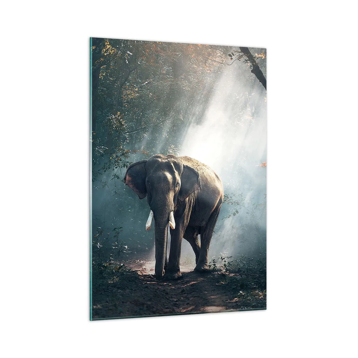 Impression sur verre - Image sur verre - Un éléphant marchant dans la forêt avec la lumière du soleil traversant les arbres. - 50x70cm - Une balade tranquille - Décoration murale moderne pour le salon et la chambre ARTTOR
