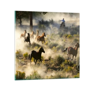 Impression sur verre - Image sur verre - Rivalité - liberté ou force masculine ? - 70x70 cm