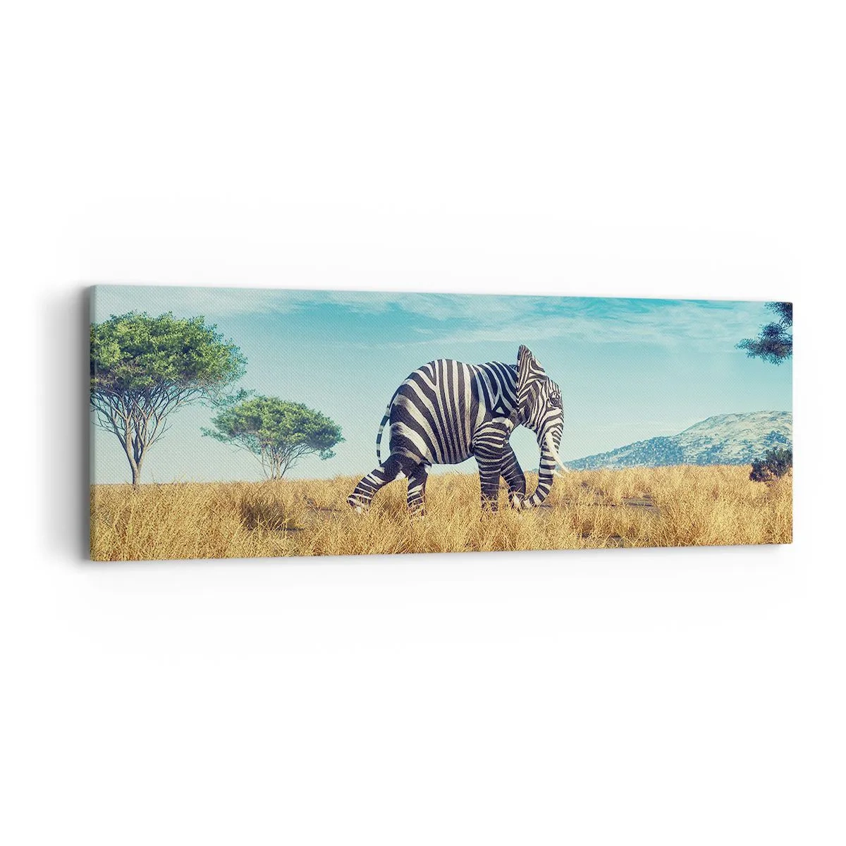 Impression sur toile - Image sur toile - Le gris n'est déjà plus à la mode - 90x30 cm