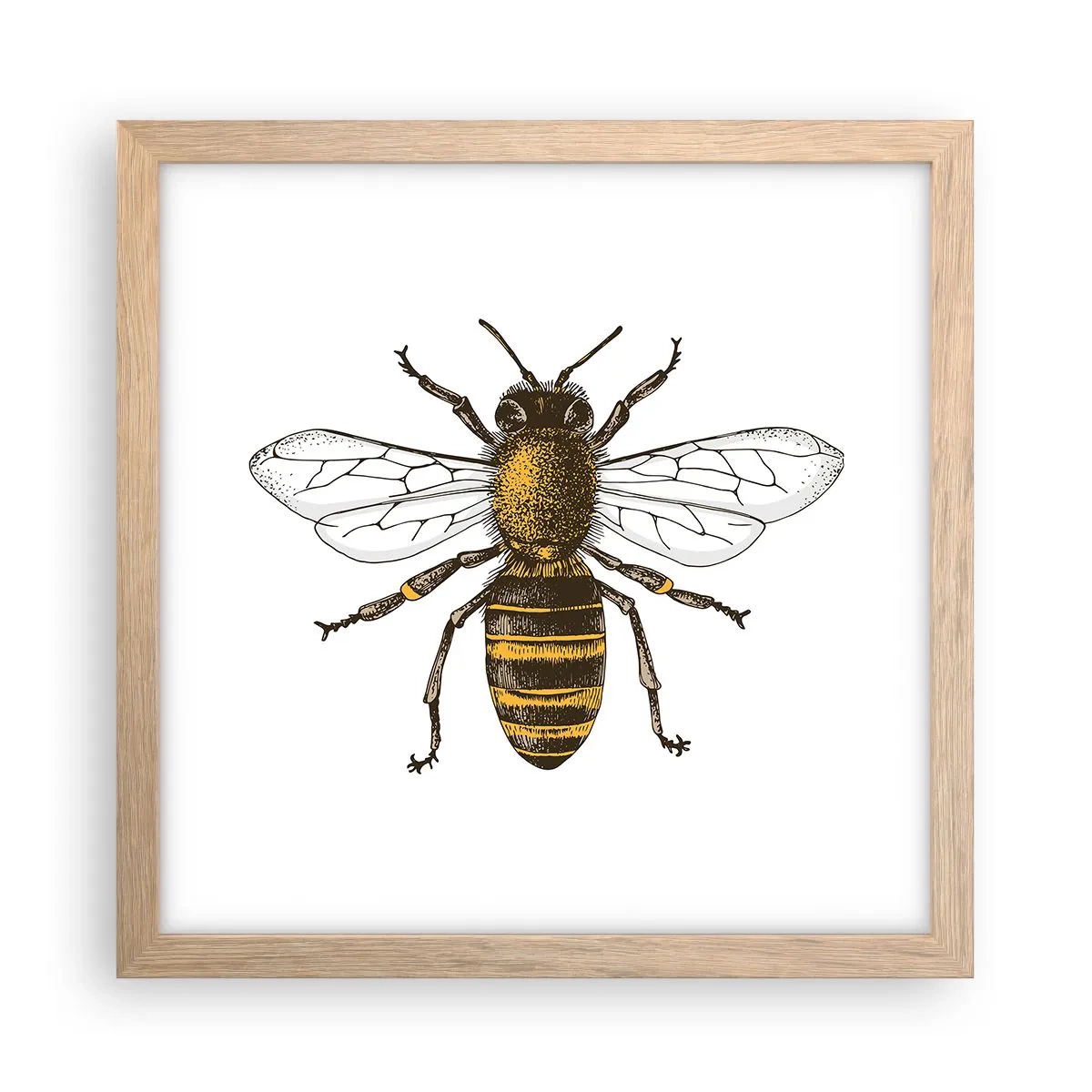 Affiche dans un chêne clair - Poster - Belle et bonne - 30x30 cm