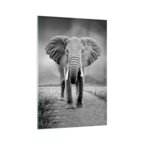 Impression sur verre - Image sur verre - Un puissant éléphant dans la savane aux tons monochromes - 70x100cm - Les hôtes vous saluent - Décoration murale moderne pour le salon et la chambre ARTTOR