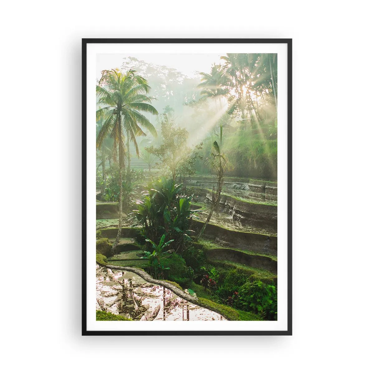 Affiche dans un cadre noir - Poster - Grandir au soleil - 70x100 cm